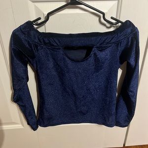 A shiny blue long sleeveless shirt